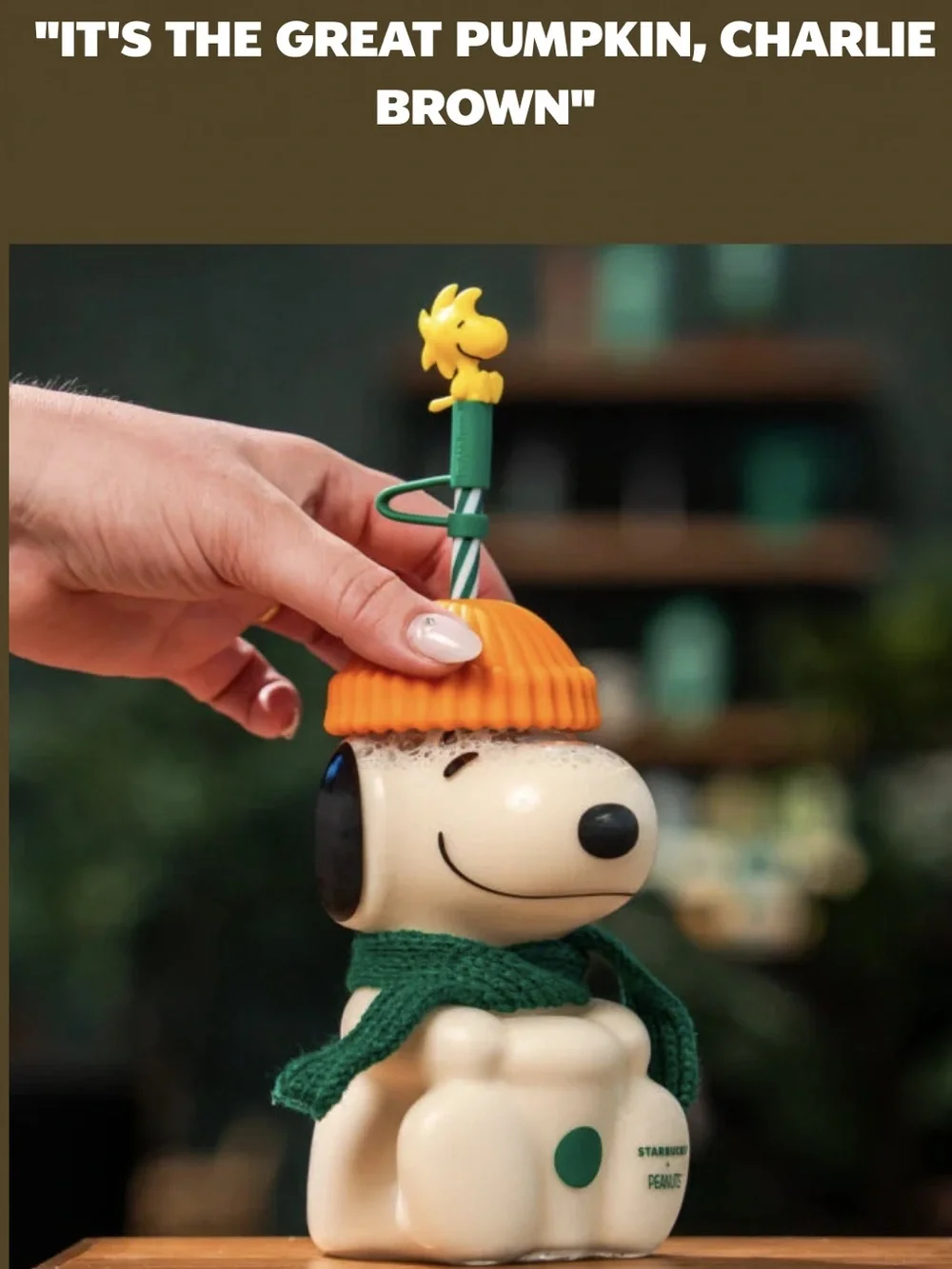 Lot of 5 Starbucks Peanuts Snoopy glass, mini tote, bag charm, plush, pin set
